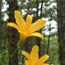 대가야역사테마관광지 이미지