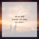 댕댕이 애견샵 이미지