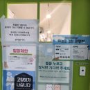 하늘을 걷는 고양이 카페 | (사당동 고양이 카페) 하늘을 걷는 고양이~