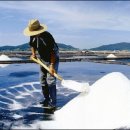 재인 태양광발전소 이미지