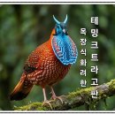 밍크목장 네이버블로그