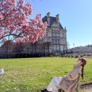 안시호 | 서유럽 프랑스 스위스 9일 여행 알찬 패키지 일정 추천