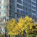 11650-17-197-34 | 25년 11월 (2)