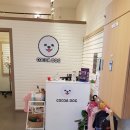 코코아도그 이미지