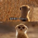 센스노래방 이미지