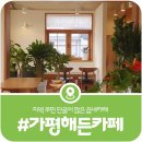 북면196 | [가평 해든카페] 지역 주민들이 자주 찾는 읍내 카페 명소 (2026)