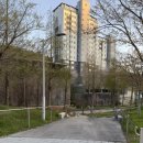 진남체육관길 이미지