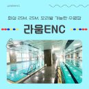 어린이 줌바댄스 | 라움enc 자유수영 솔직후기 + 50미터, 25미터, 오리발 가능