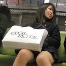 패션나라 이미지
