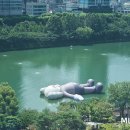 카우스 이미지