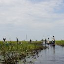 아프리카 7개국 종단 배낭여행 이야기(53)..Okavango Delta(2)...여행은 견문도 넓히지만 겸손과 감사를 배우게 한다. 이미지