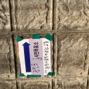 반려견과 함께 사전투표! 출입 가능할까?