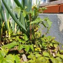 은진 약국 이미지