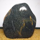 학-비상 이미지