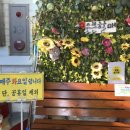 손큰할매 이미지