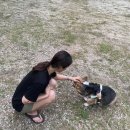 저스트민박 이미지