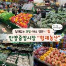 우리들의안양/만고강 | 안양중앙시장 농산물 “형제농산” 15년째 다니는 과일•채소가게