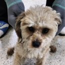 하이동물병원 이미지