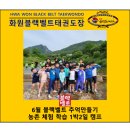 필 태권도장 | 6월 추억만들기 농촌체험학습 / 향남2지구 화원블랙벨트태권도장