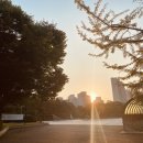 메디에스의원 이미지