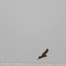 수산리-11 Daum카페