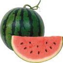 활초초등학교 이미지