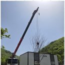 전주만물 | 전주카고크레인 만물카고크레인의 특별한 현장 경험 후기