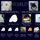 스타릿(starlit) 이미지