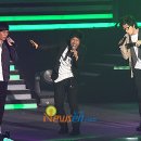 대성관광㈜ 이미지