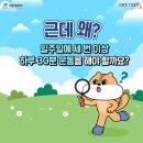 탑핏30