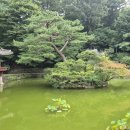 동우한의원 Daum카페