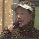 벌떼노래 Daum카페