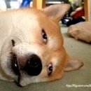 파티타임 이미지