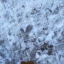 316002 | 여자 어그부츠 추천 베어파우 알리사 어그부츠 240 사이즈 후기!