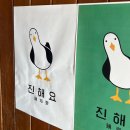 벚꽃 | 창원 진해군항제 벚꽃 첫방문 후기