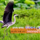 율하체육공원 분수광장 이미지