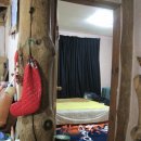 황토와소나무 이미지