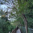 수영강 동천교 이미지