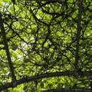 세종청사 15동 이미지