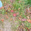 산마을길 | [강원도 여행 후기] 추억을 찾아 떠난 길, 차로 떠난 선령 약수터&amp;운탄고도 마을 모운동