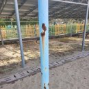 작전중학교 이미지