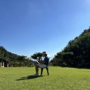 양평모세골황토방 네이버블로그