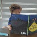 대윤태양광발전소 이미지