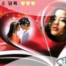 세갈래 이미지