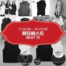 티에이치제이 | 패딩베스트 추천 BEST 10 (feat. 가격대 17,800원 ~ 45,900원)