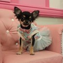 엘리하우스 이미지