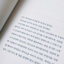 비올라 | [독서 후기] 비올라와 블루 / 마테오 부슬라(이현경 옮김)