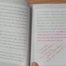 벌거벗은 고양이 이미지