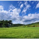 동강시스타 골프장 이미지