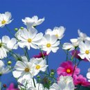 수호농장 이미지